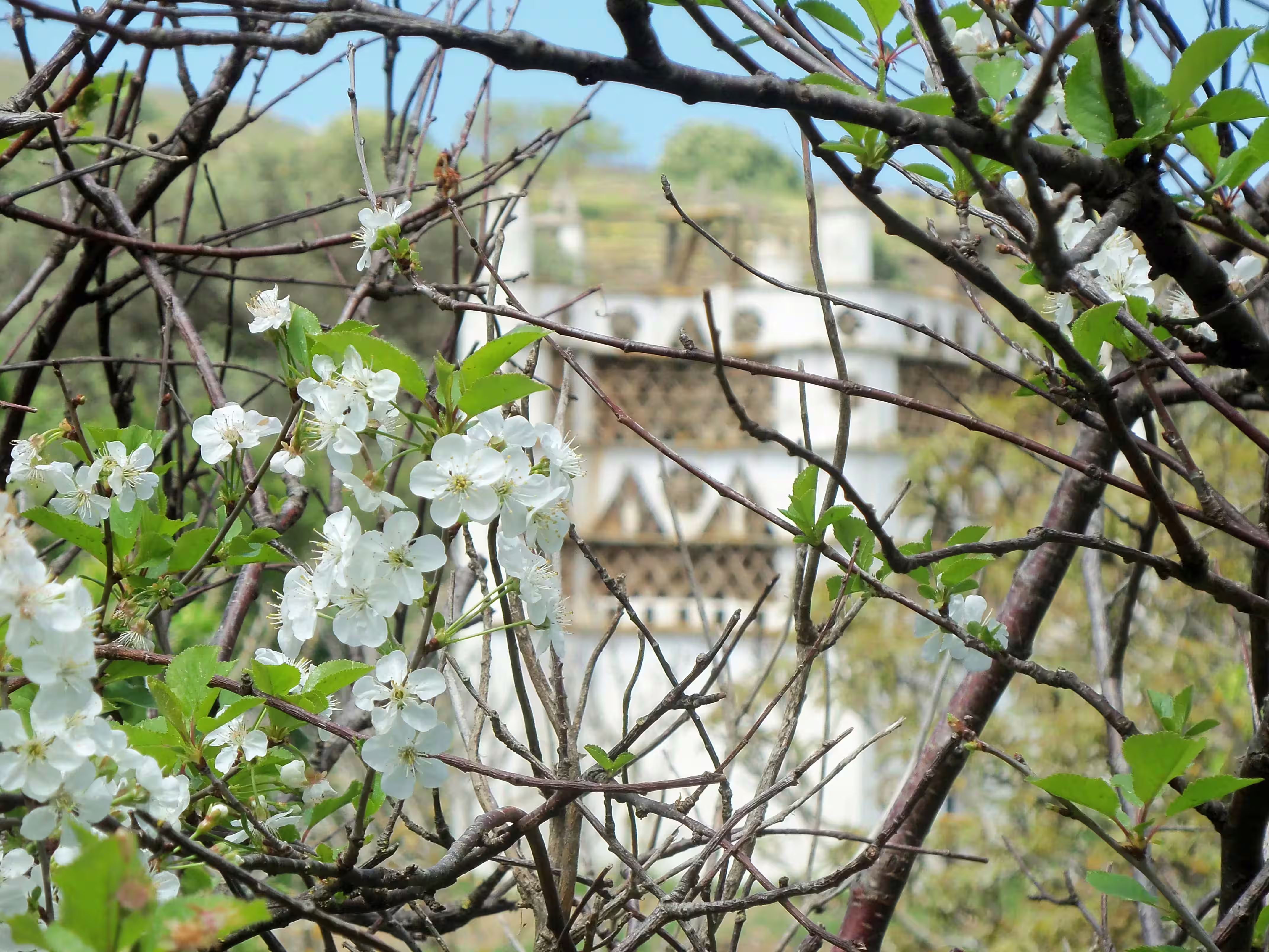 Περιστεριώνας 6